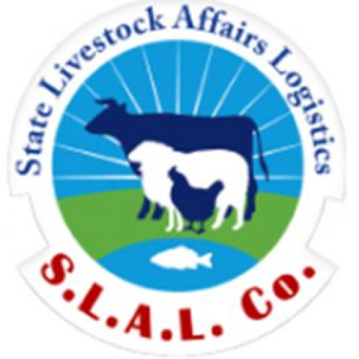 Insurance Agency Logo (2)